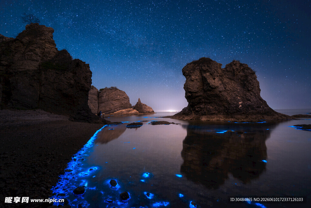 蓝眼泪夜景下的海边岩石