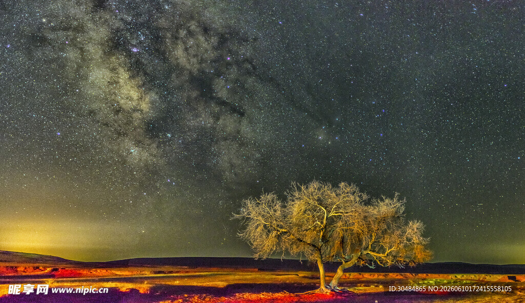 星空下的孤独树