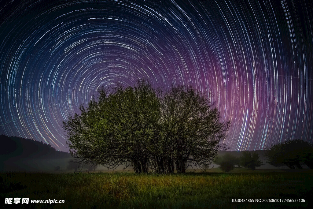 星空下的孤树美景