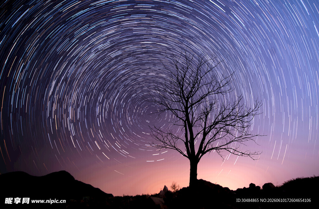 星空下的孤树