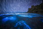 梦幻蓝眼泪与星轨夜景
