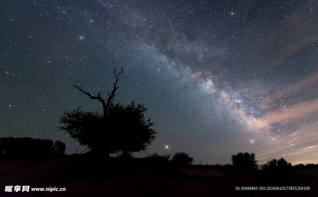 星空下的孤独枯树夜景