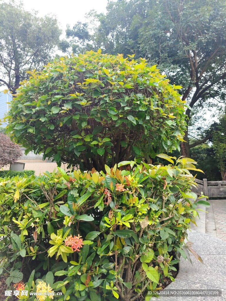 造型别致的绿植景观