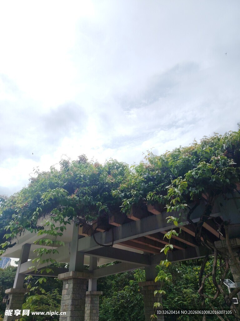 户外木质藤架景观