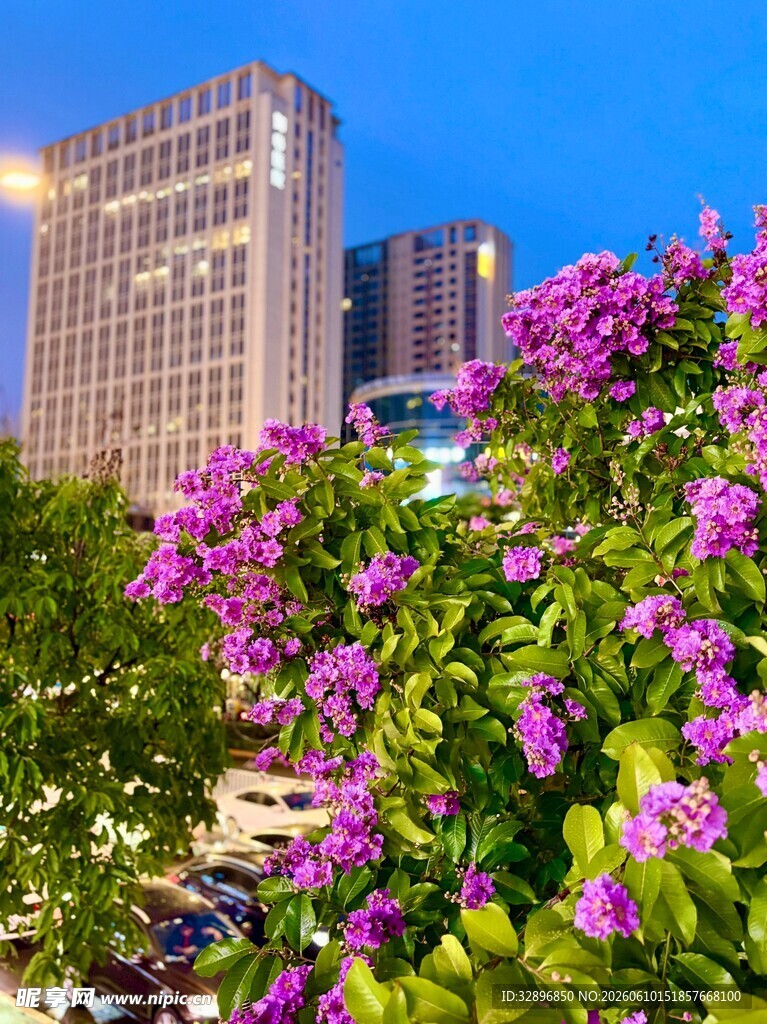 城市繁花景