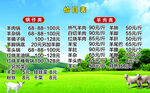 夏日牧场牛羊养殖价格表