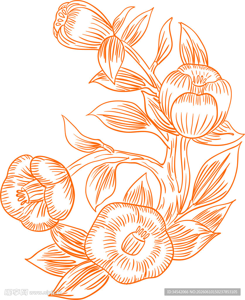 橙色花卉植物线描图案