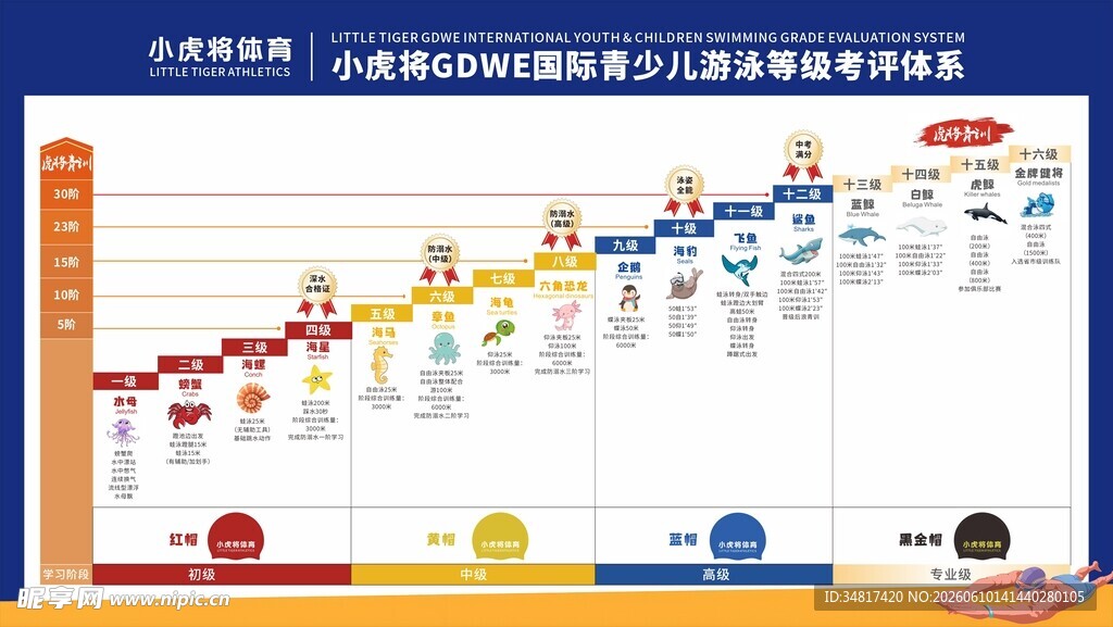 游泳评级表