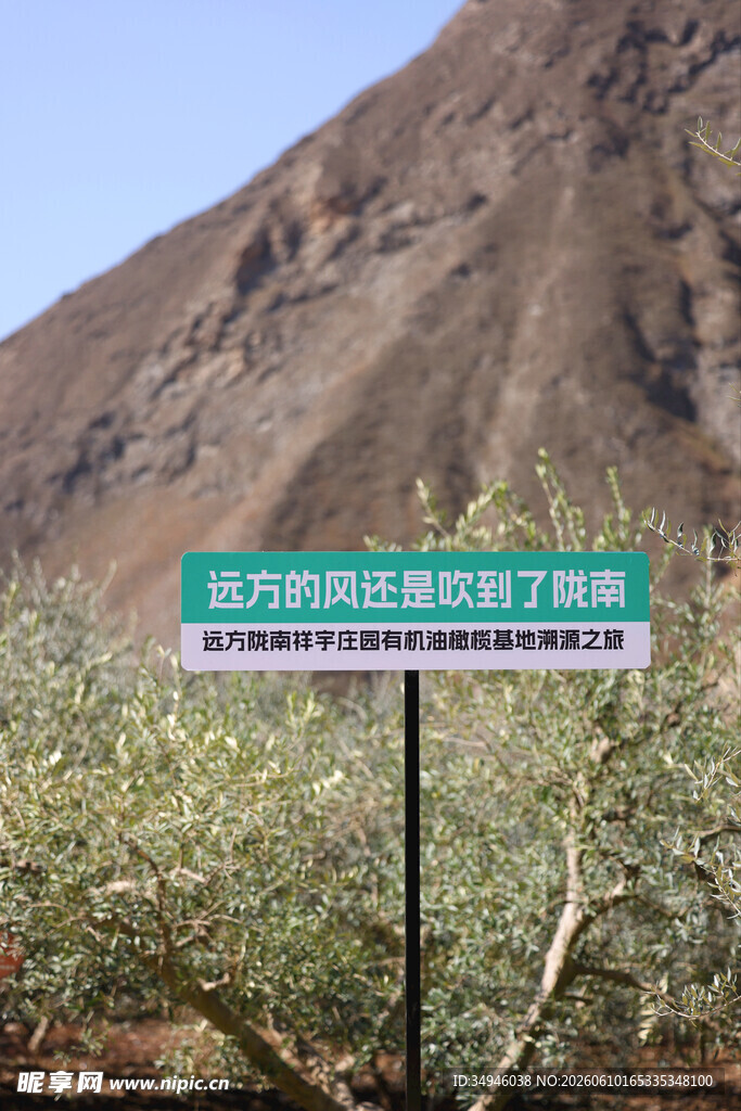 沙漠中的绿色路牌