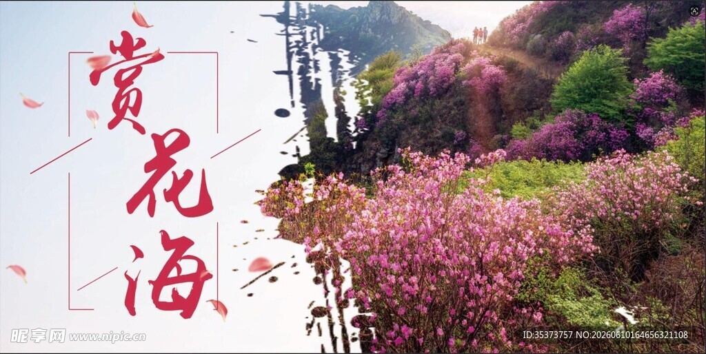 赏花海