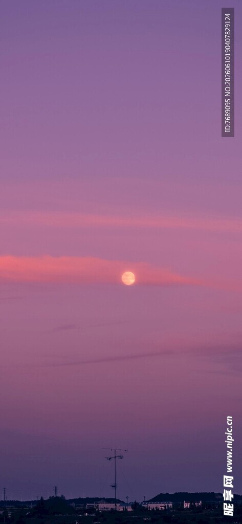 粉紫月夜