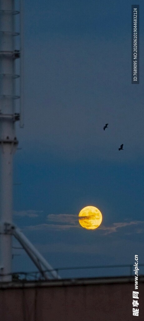 城市月夜