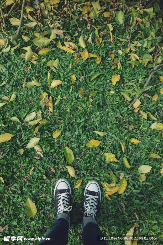 秋日草地中的休闲鞋履