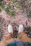 漫步樱花下的休闲时刻