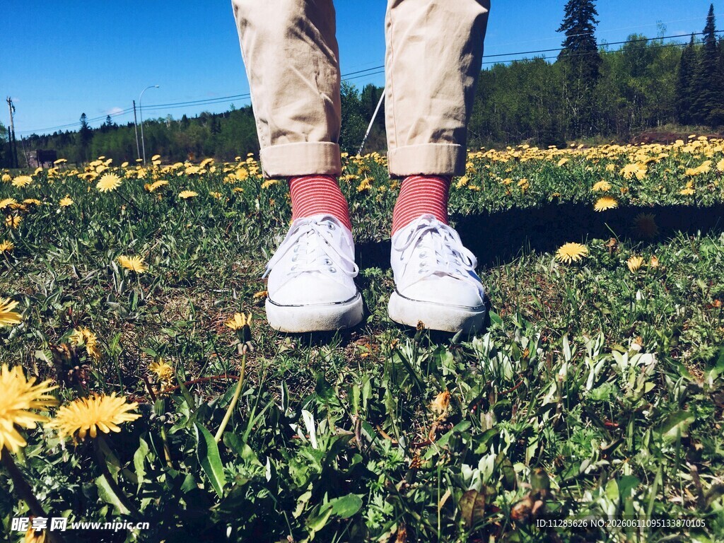 漫步花田的休闲脚步