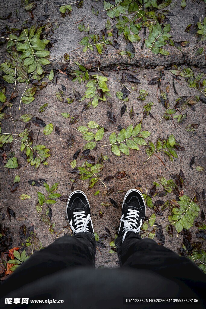 脚下落叶景黑白鞋相伴