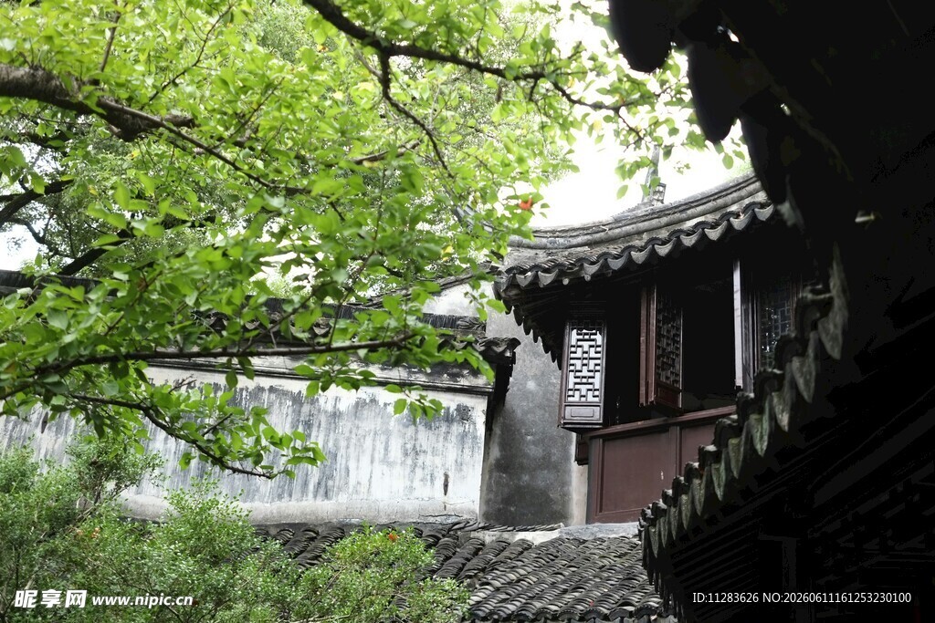 古宅隐于绿树间