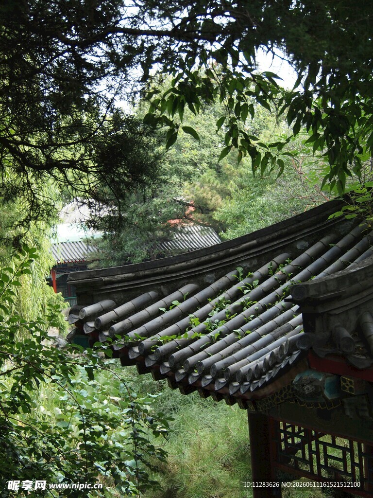林中古亭一角