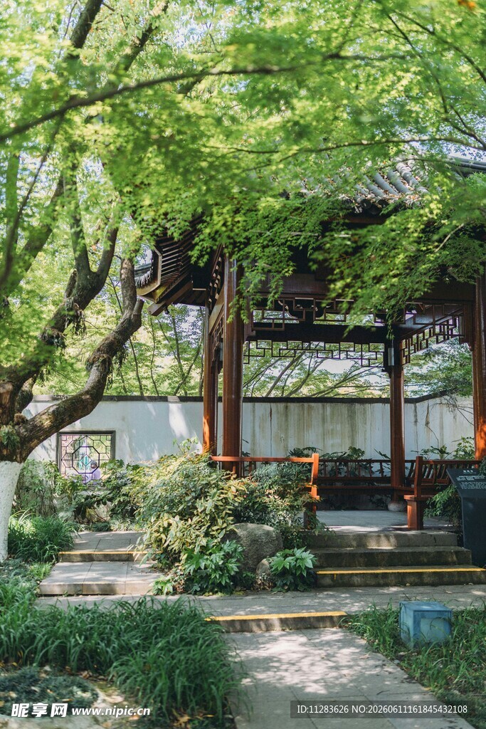 中式庭院绿意盎然景致