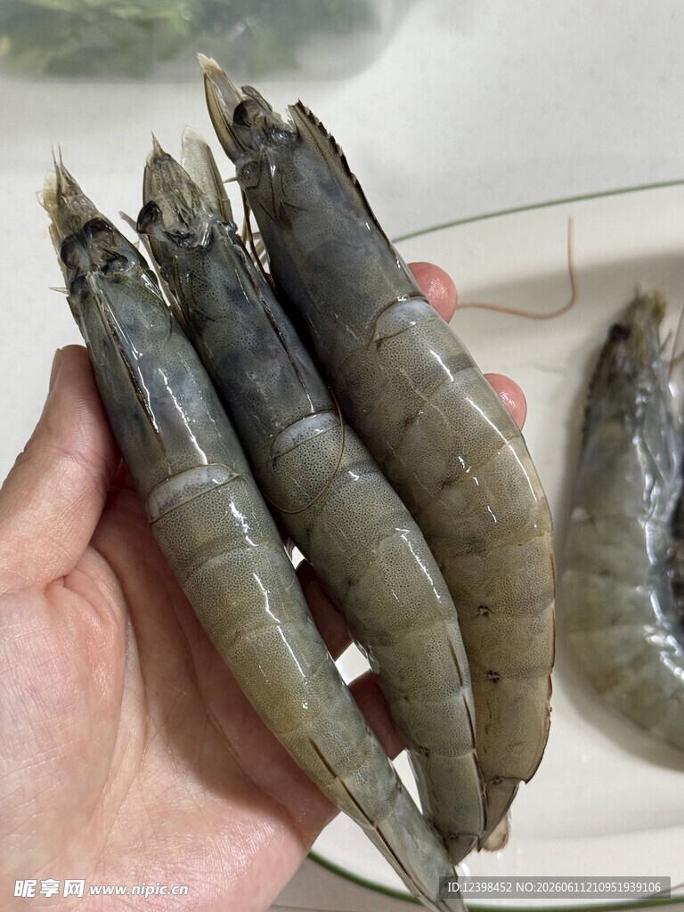 海虾