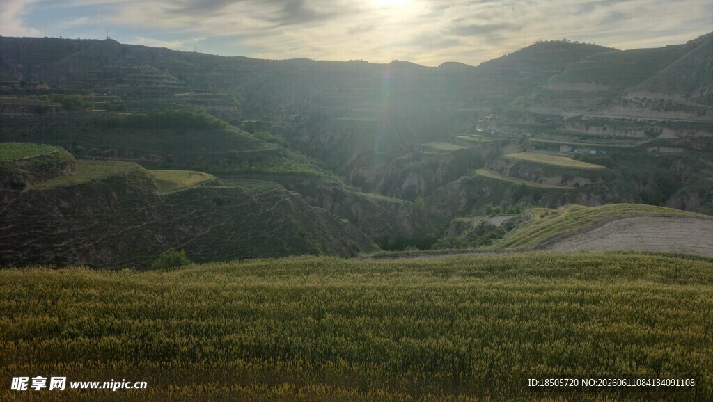 山间草地的晨光美景