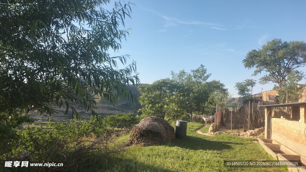 户外绿意盎然的休闲场景