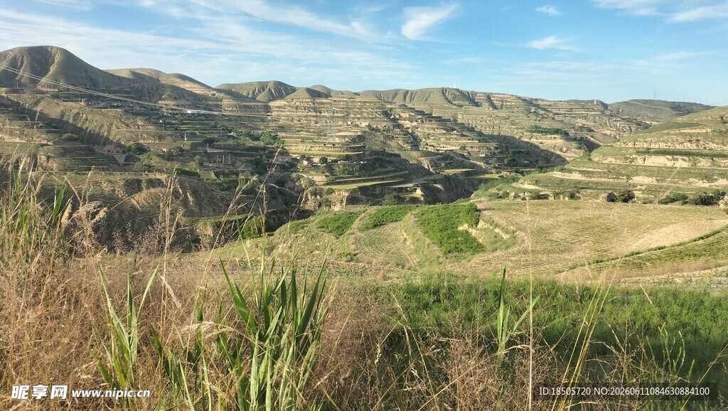 山间草地风光