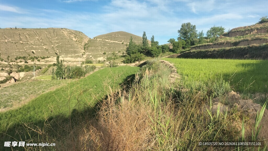 田野间的自然乡村景致