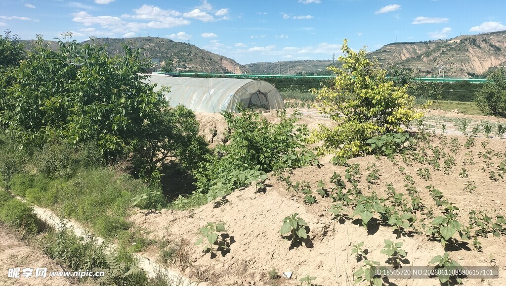 山间绿意田园