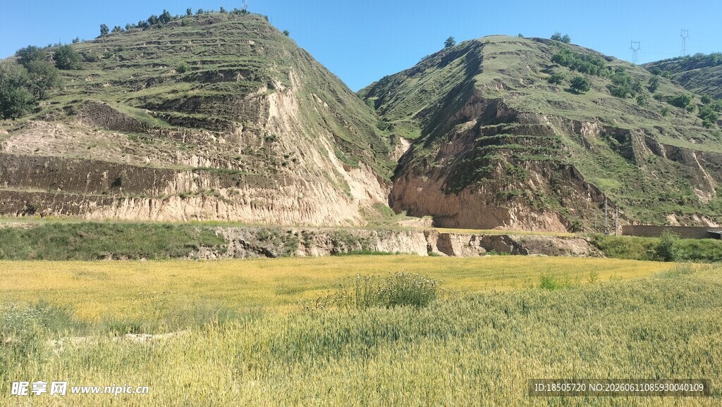山间麦田与土坡景观