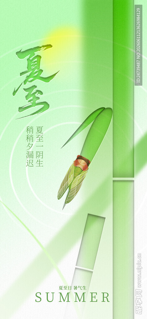 夏至海报