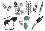 植物元素集合剪影素材