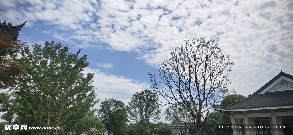 蓝天白云下的房屋景致