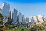 现代都市河畔高楼景观