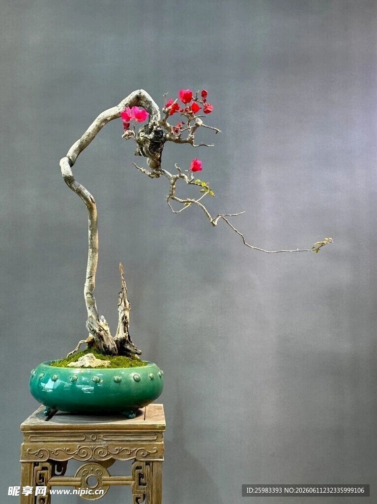 盆景