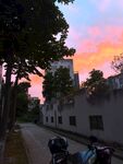 夕阳下的街道与停放车辆