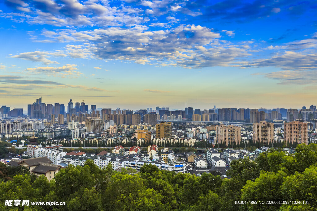 城市天际线与葱郁绿树景观