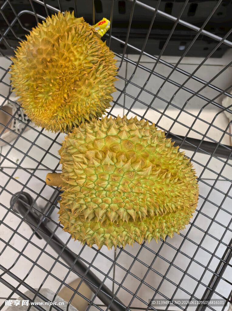 新鲜榴莲置于金属架上