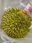 新鲜榴莲特写