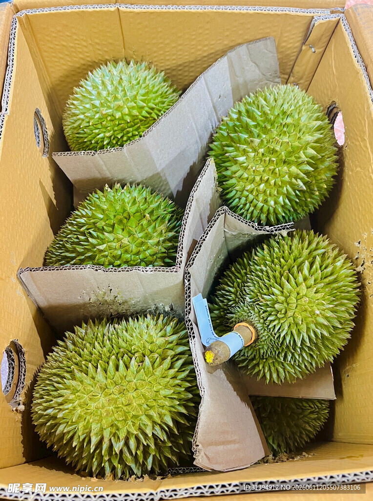 盒装新鲜带刺榴莲果
