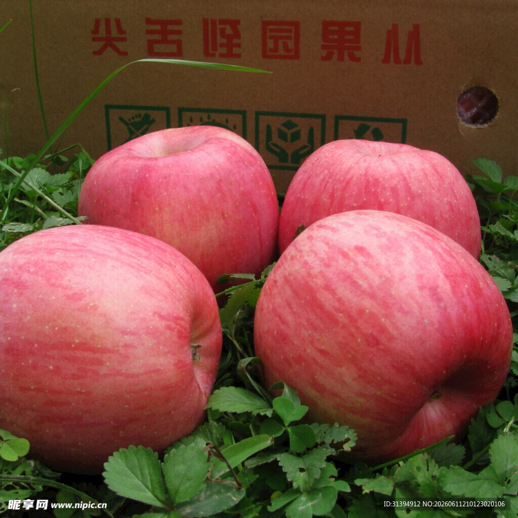 新鲜红苹果