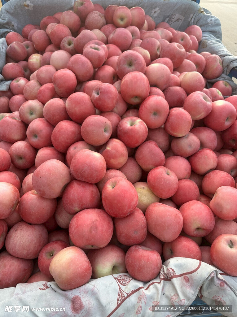 一堆鲜红饱满的优质苹果