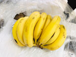 新鲜成串黄色香蕉