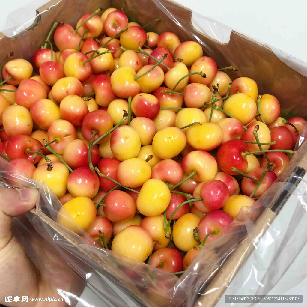 新鲜多彩樱桃装箱展示