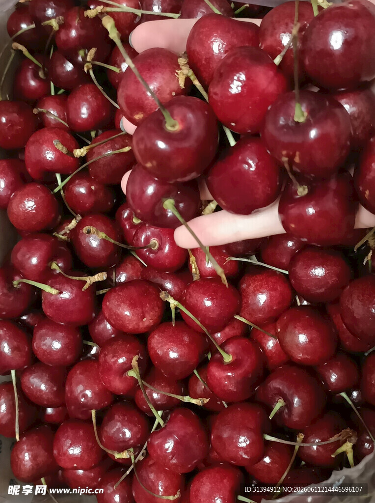 新鲜饱满的红樱桃