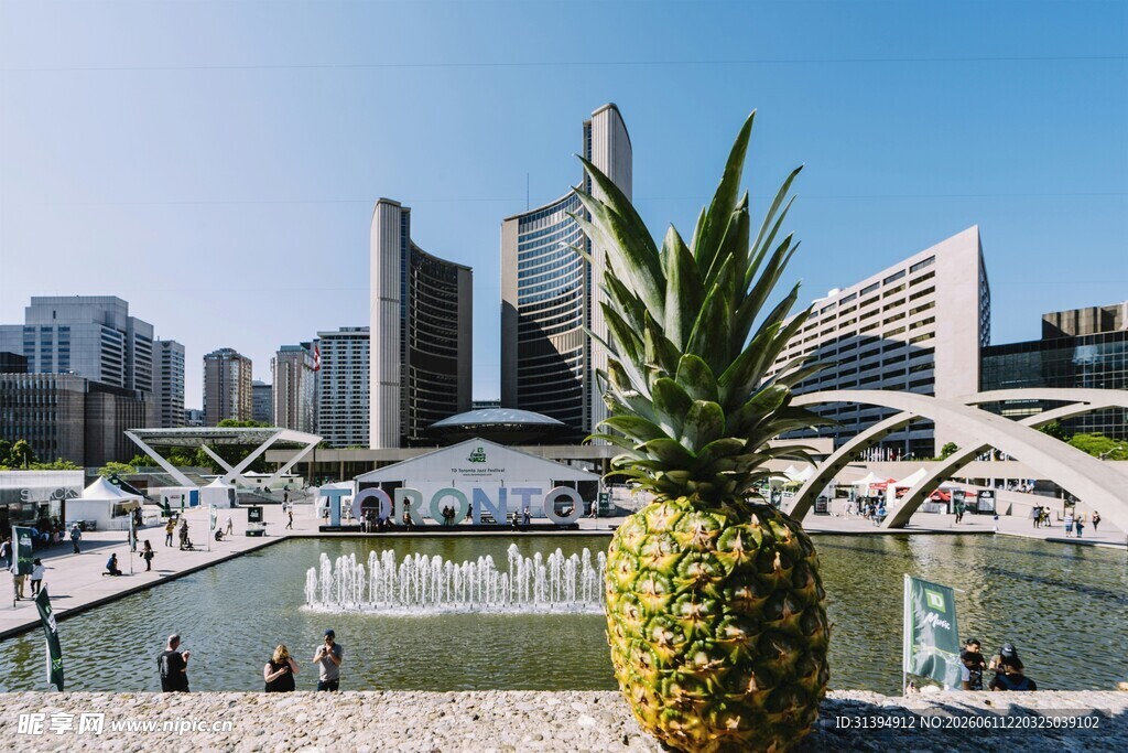 城市广场中的特色菠萝雕塑