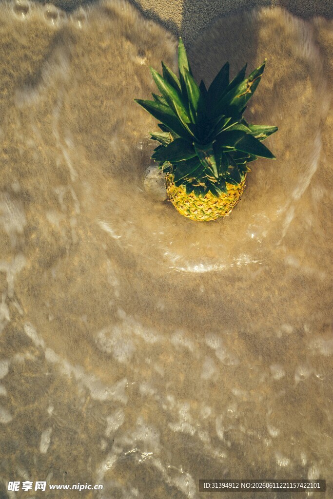 沙滩上的菠萝