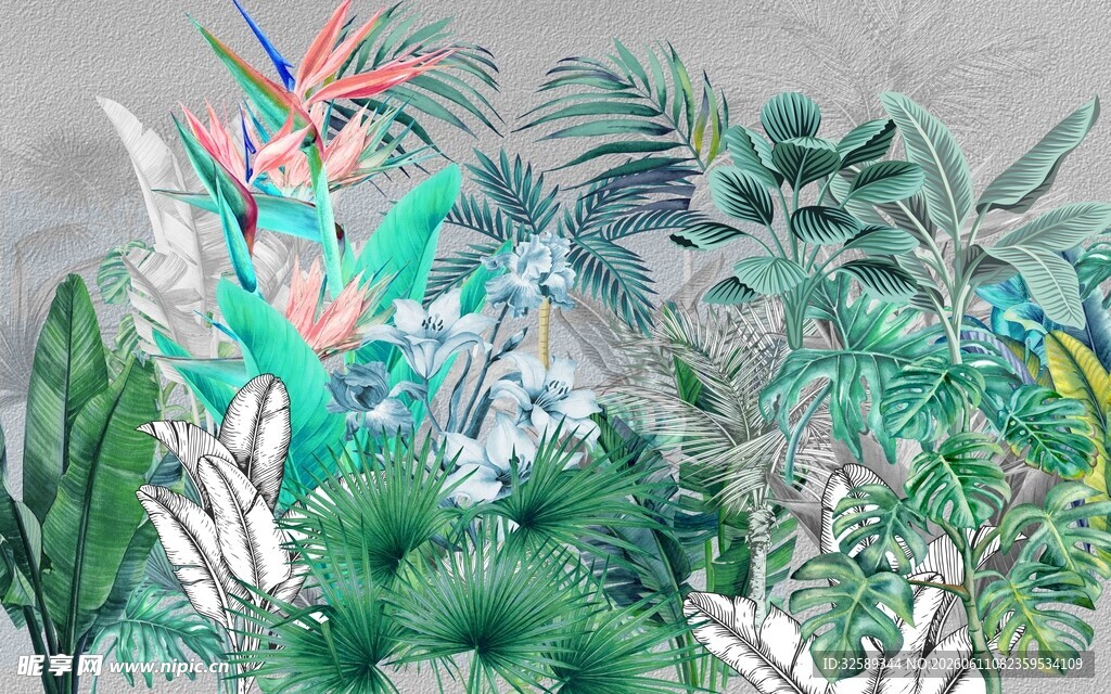 热带植物手绘插画
