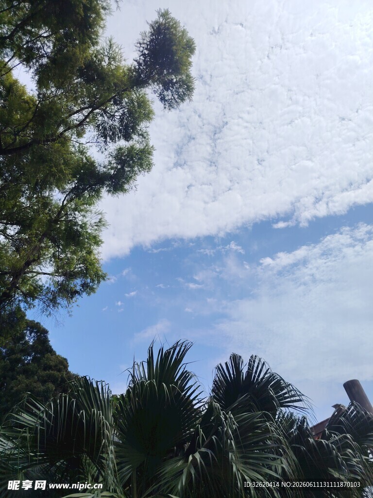 蓝天绿树间的自然景致