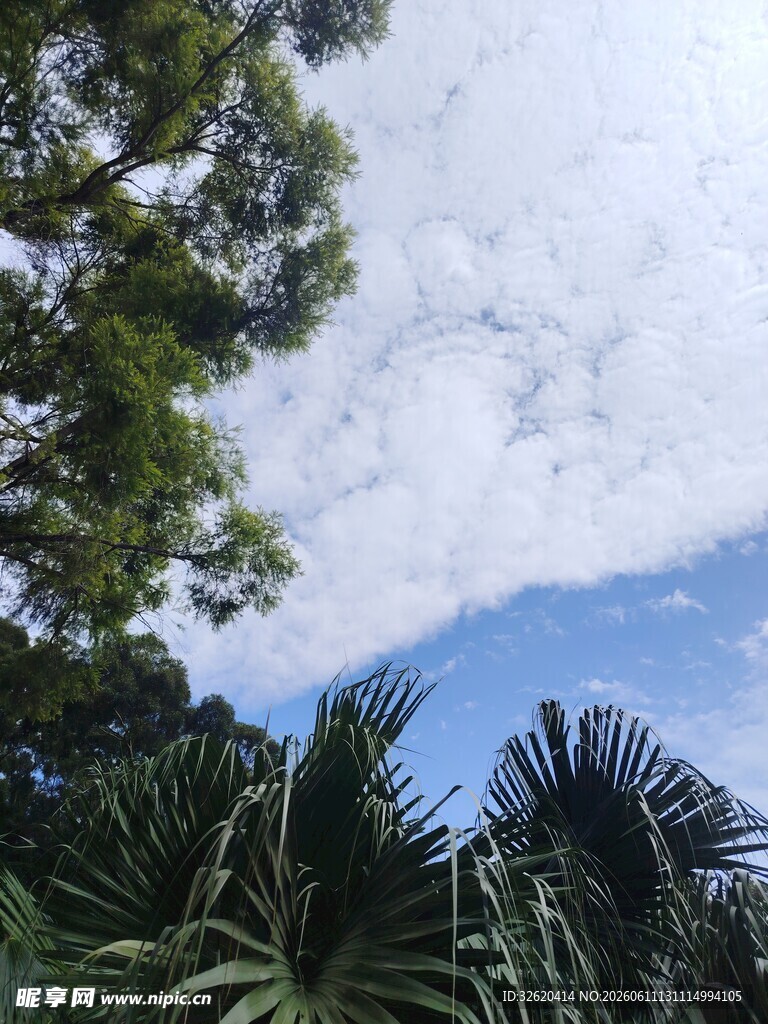 蓝天绿树间的自然景致